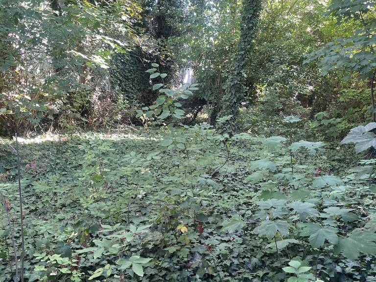 Vente Terrain 170 m&sup2; — photo 1