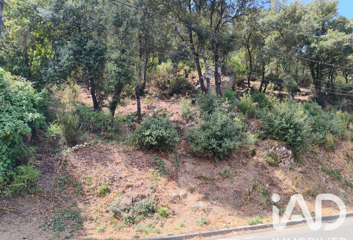 Vente Terrain à bâtir 1 227 m&sup2; — photo 1
