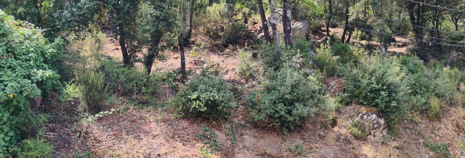 Terrain  1227 m² à vendre à Sorède (66690)