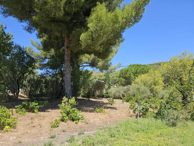 ALLAUCH - Terrain 800 m2 prêt à accueillir votre projet de v — photo du bien