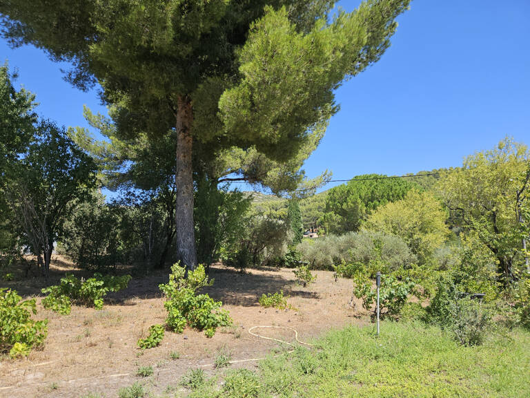 ALLAUCH - Terrain 800 m2 prêt à accueillir votre projet de v — photo 1
