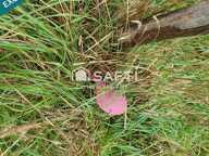Superbe terrain constructible, borné d'environ 1700 m² — photo 2