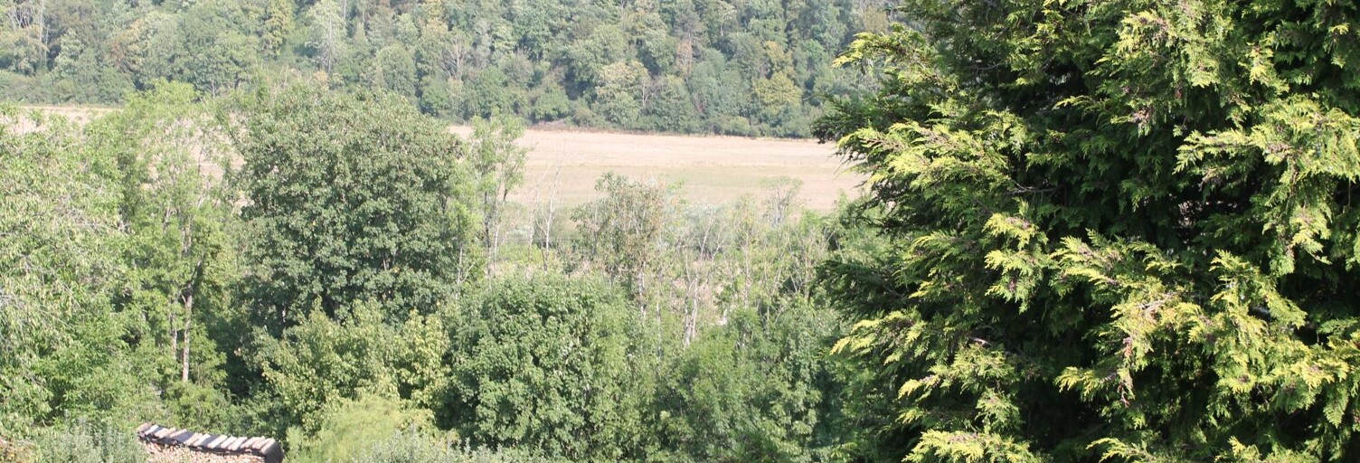 Maison 7 Pièces 148 m² à vendre à Neufchâteau (88300)