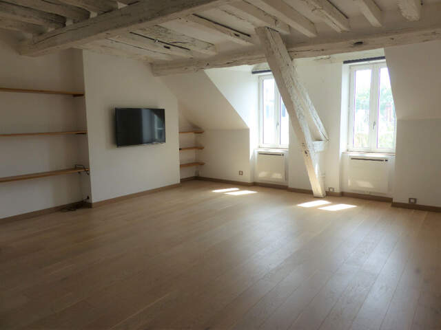Appartement Orleans  3 pièce(s) 60 m2 — photo du bien