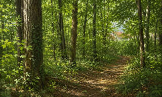 Terrain  7431 m² à vendre à Saint-Just-en-Chaussée (60130)