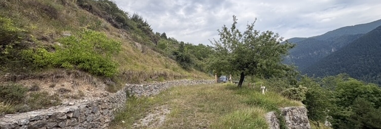 Photo N° 2
