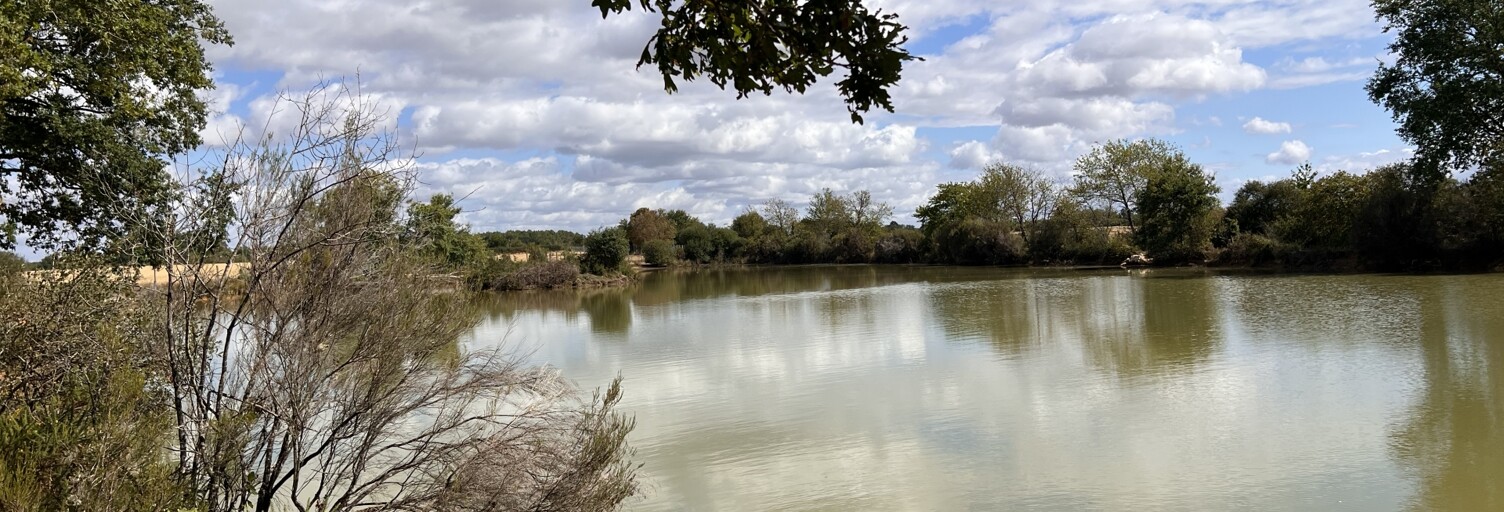 Terrain  15972 m² à vendre à Usson-du-Poitou (86350)