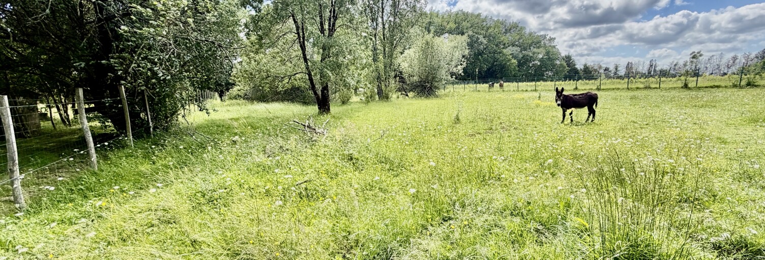 Terrain  1400 m² à vendre à Bonzac (33910)