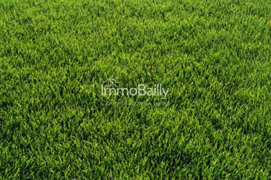 Terrain  179500 €