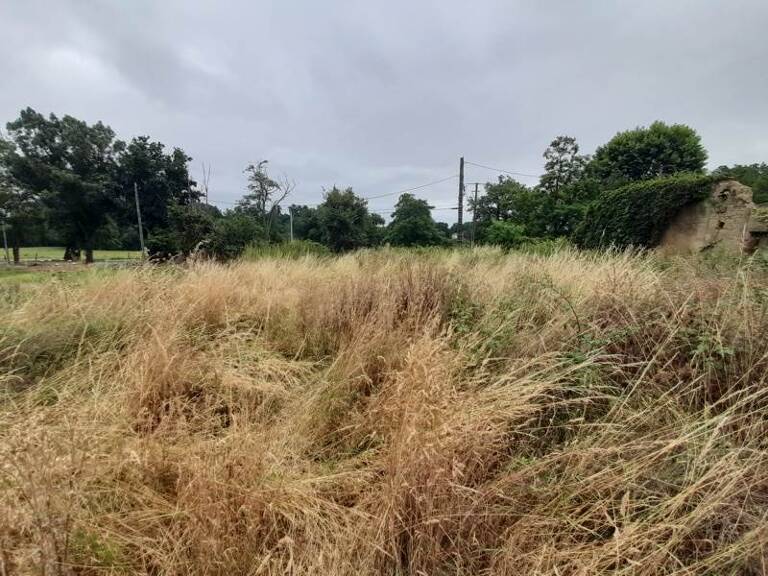 Grange de 0 pièces principales — photo 1