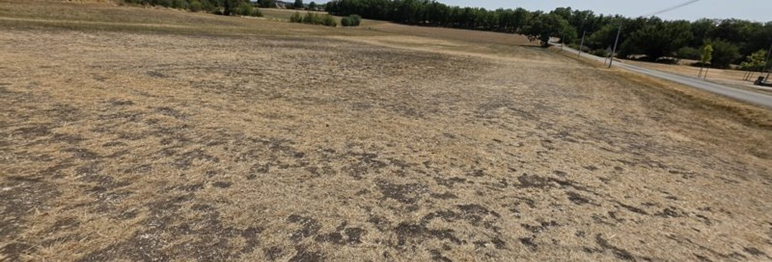 Terrain  1450 m² à vendre à Lalbenque (46230)