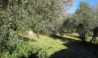 Terrain  1285 m² à vendre à Peyruis (04310)