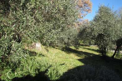 Terrain  44000 €