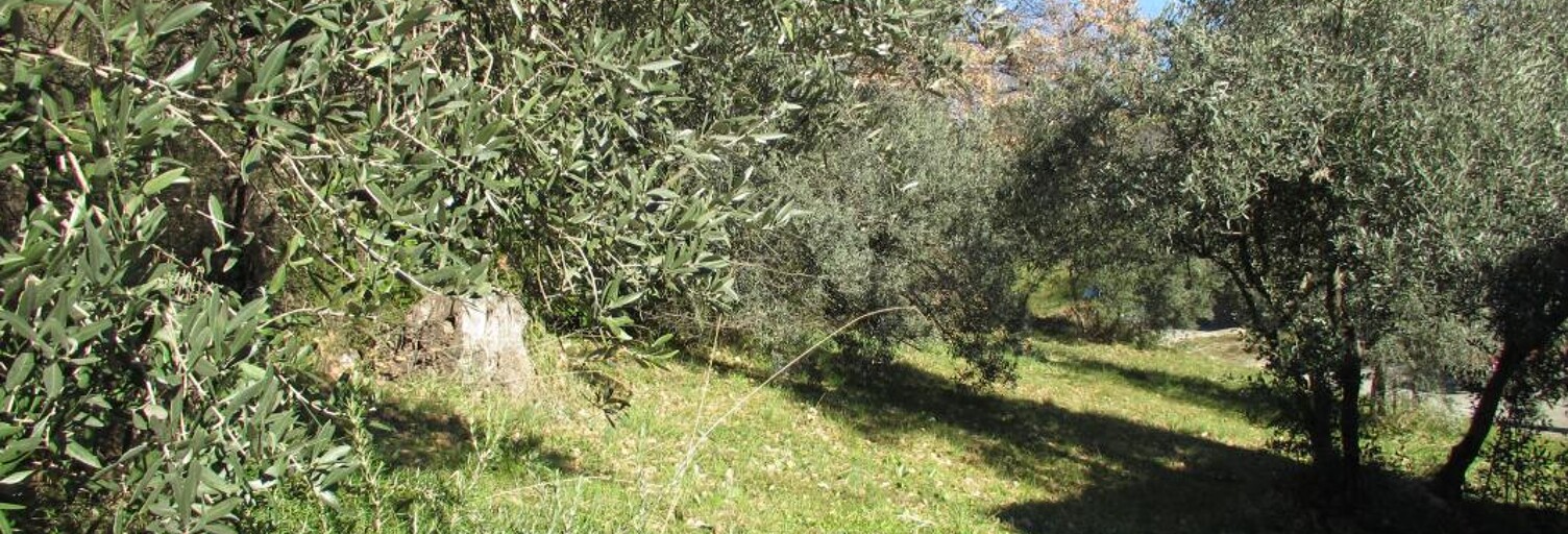 Terrain  1285 m² à vendre à Peyruis (04310)
