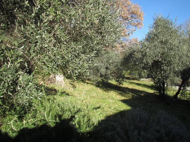 Peyruis terrain constructible boisé en bordure de voie — photo 1