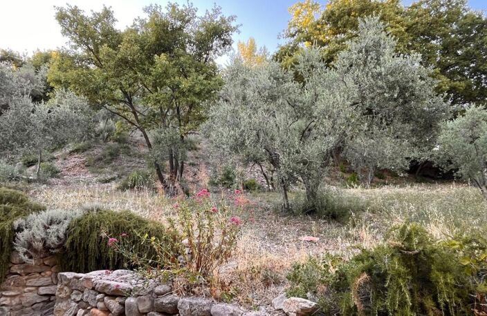 Peyruis terrain constructible boisé en bordure de voie — photo 2