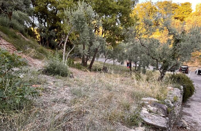 Peyruis terrain constructible boisé en bordure de voie — photo 3