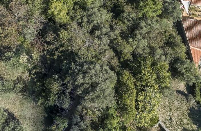 Peyruis terrain constructible boisé en bordure de voie — photo 4