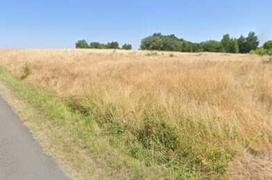 Terrain  60000 €