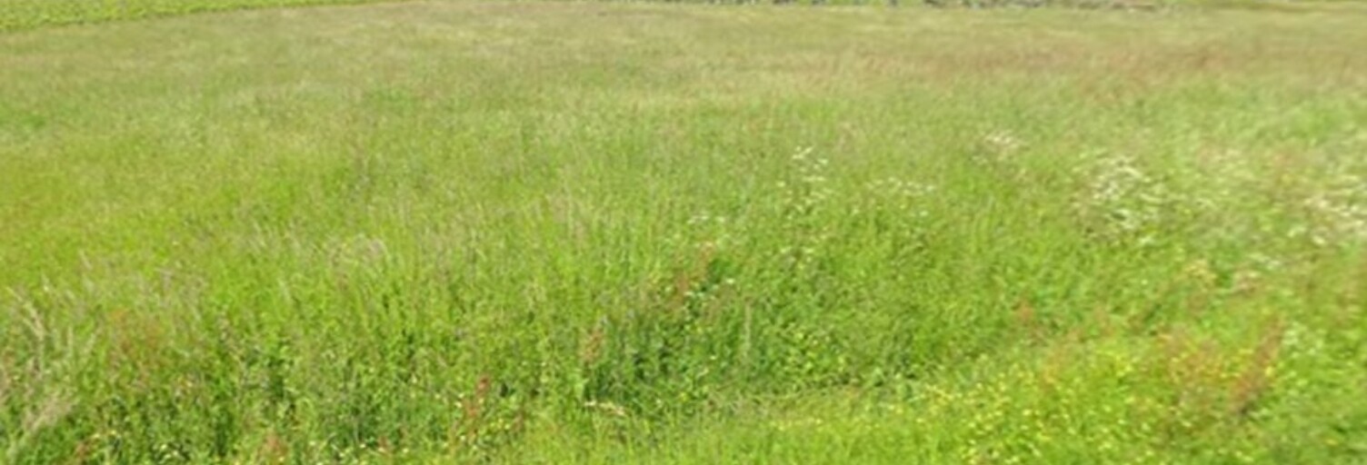 Terrain  1000 m² à vendre à Bourg (33710)