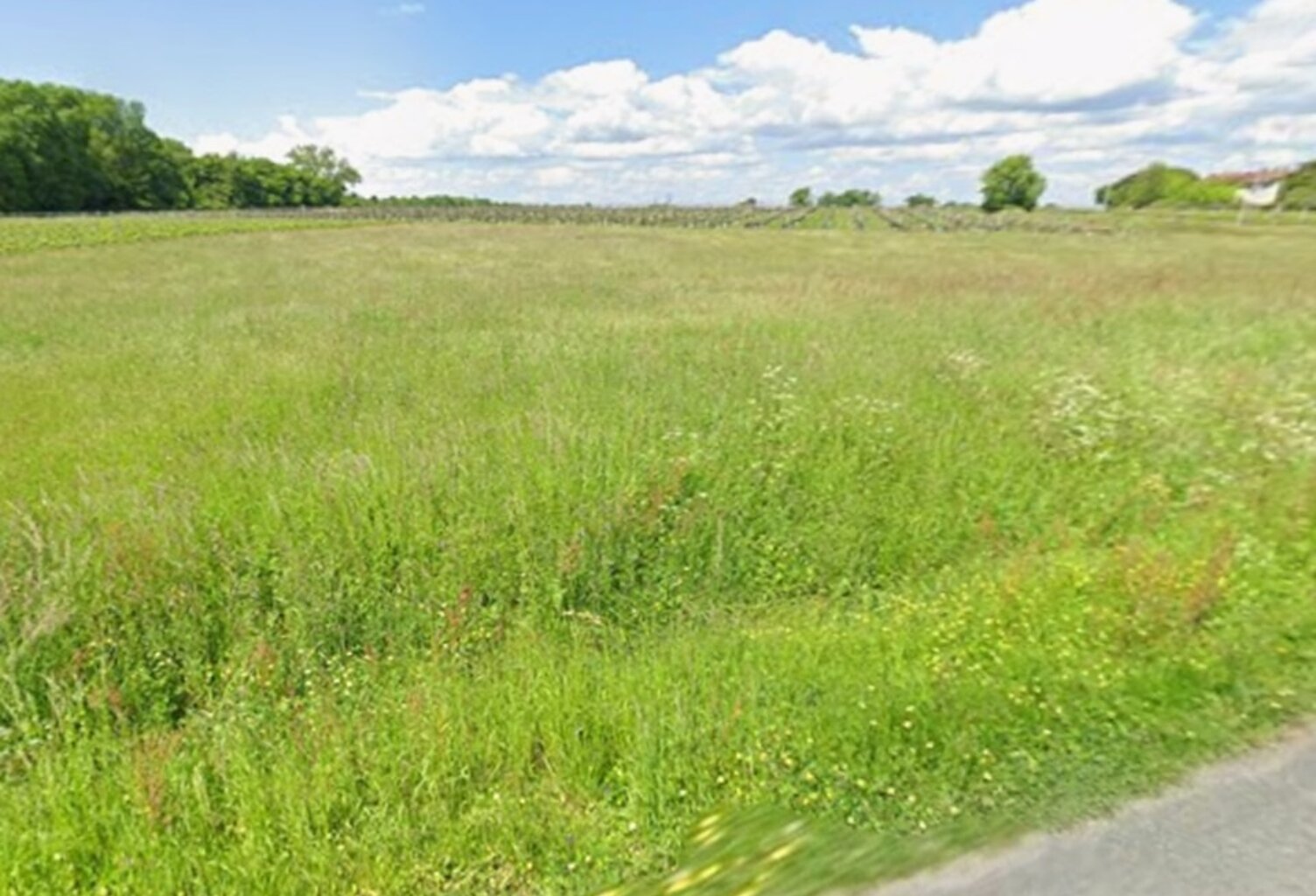 Terrain à bâtir à Bourg (33710) — photo 1