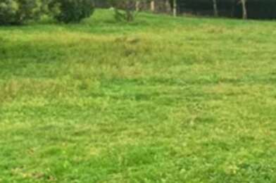 Terrain  78000 €