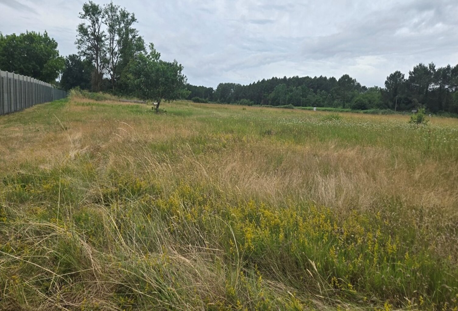 Terrain à bâtir à Bourg (33710) — photo 1