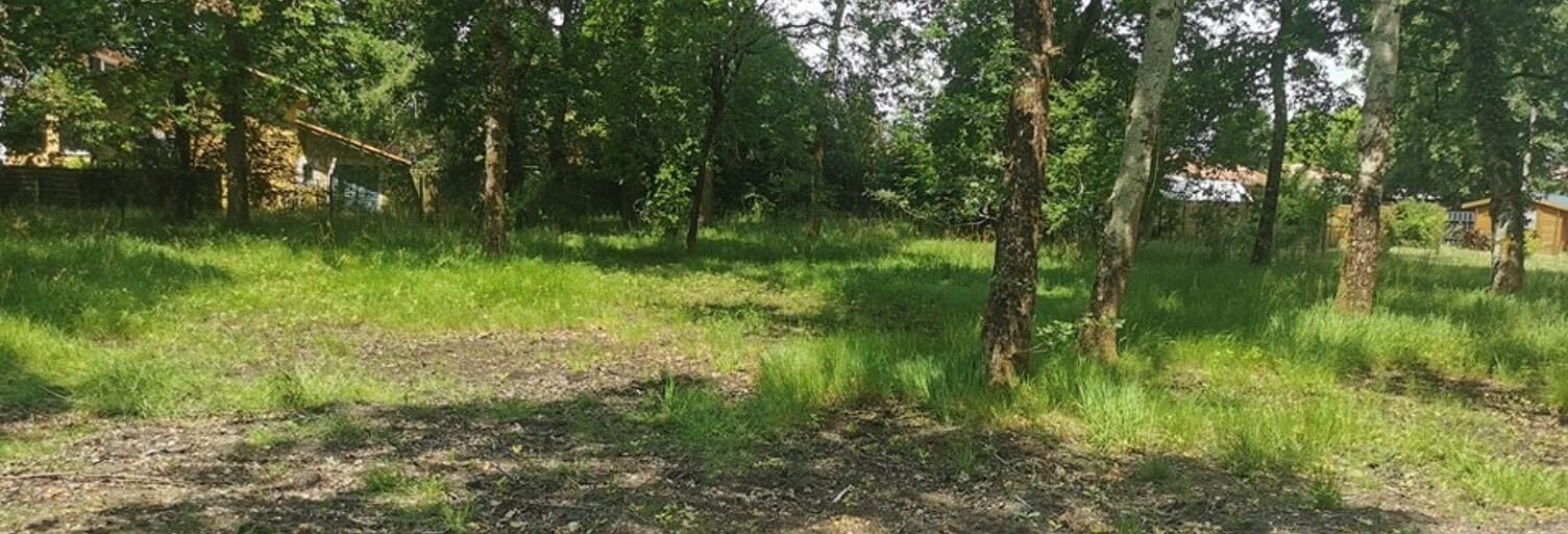 Terrain  495 m² à vendre à Hourtin (33990)