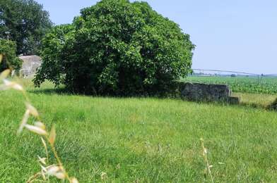 Terrain  49000 €