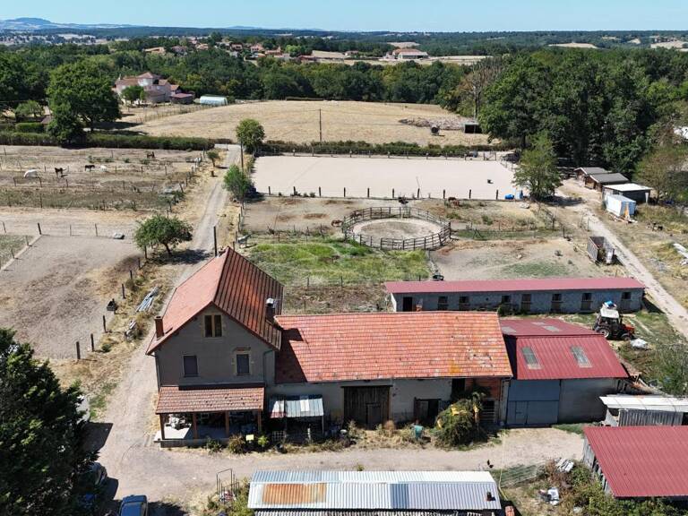 Propriete à vendre 4 pièces NOAILLY (42) — photo 1