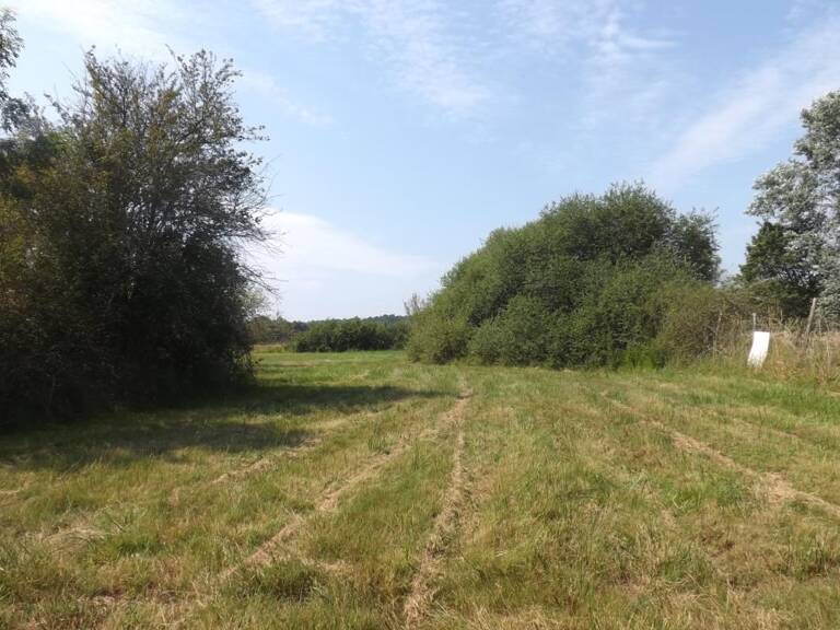 terrain à bâtir LE PIZOU — photo 1