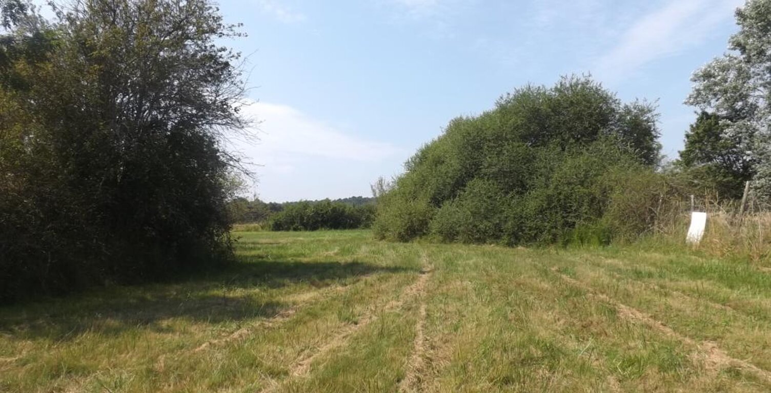 terrain à bâtir LE PIZOU — photo 1