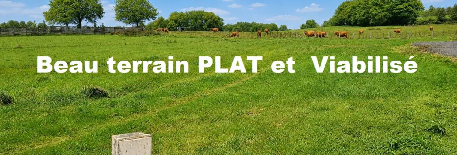 Terrain  1125 m² à vendre à Seilhac (19700)