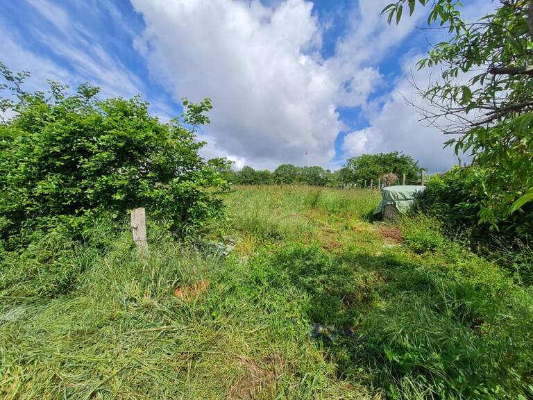 Terrain à Bâtir - CU en main — photo 1