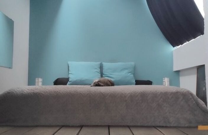 Appartement à vendre 5/6 pièces LES LILAS (93), loft + local atelier+ jardin privatif +garage et cave — photo 5