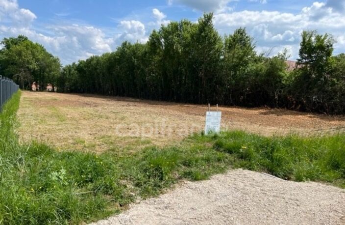 Beau Terrain de 2 164,00 m² ESCAMPS (89) — photo 2