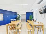 Bureaux Opérés de Prestige en vente à Bordeaux Triangle d'Or (33000) — photo 2