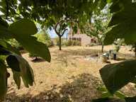 Maison en pierre individuelle — photo 2