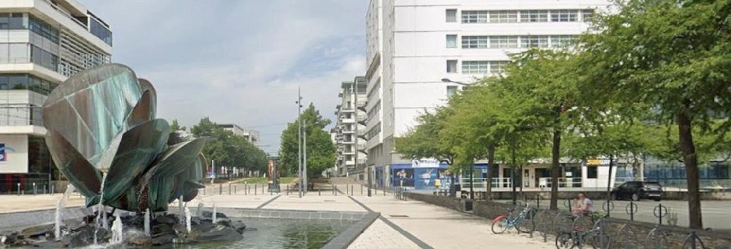 Appartement 1 Pièce 17 m² à vendre à Angers (49100)