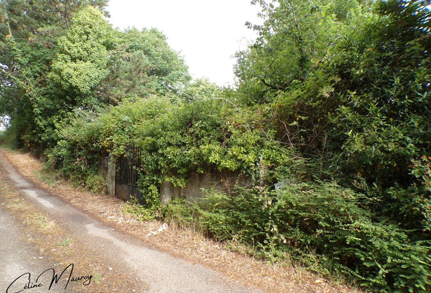 Terrain de loisirs de 1 100 m2 - Sortie Auch - direction Barran — photo 1