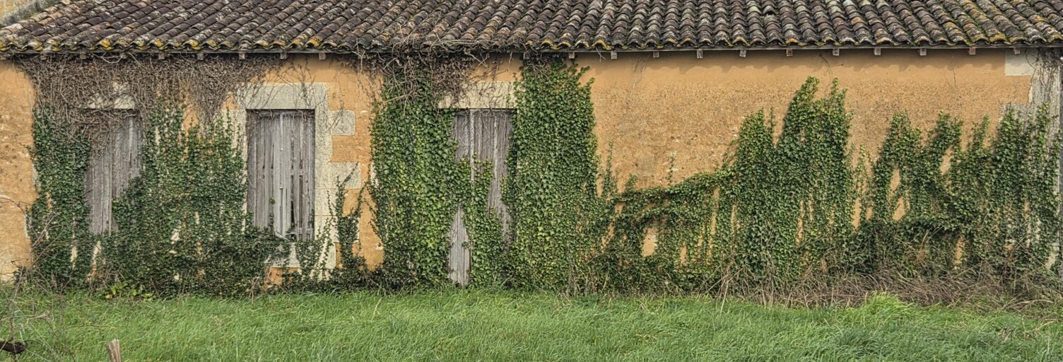 Maison 2 Pièces 80 m² à vendre à Cars (33390)