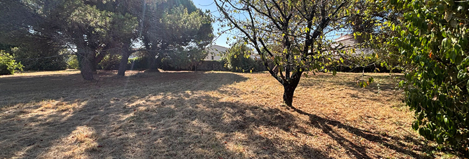 Terrain  1000 m² à vendre à Dolus-d'Oléron (17550)