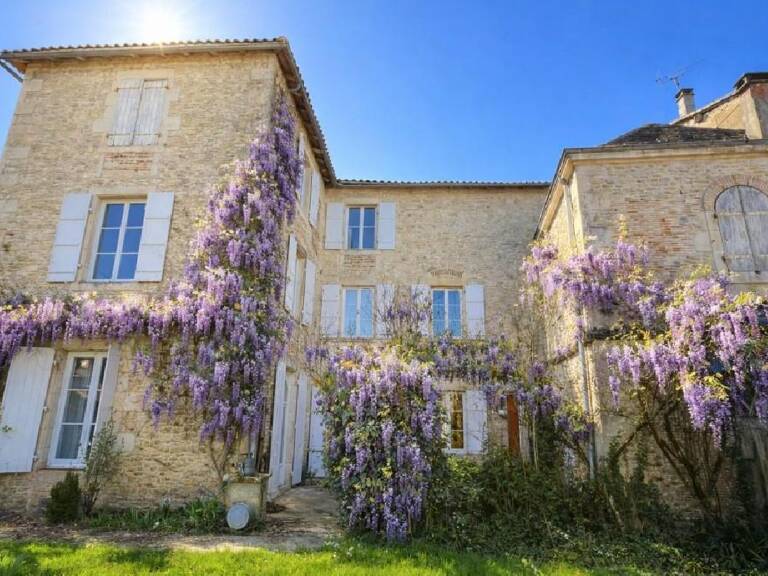 Maison — photo 1