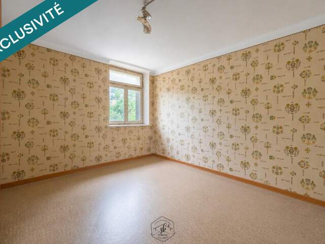 À vendre  Ensemble immobilier à fort potentiel à Vaudreching  Idéal investisseurs — photo du bien
