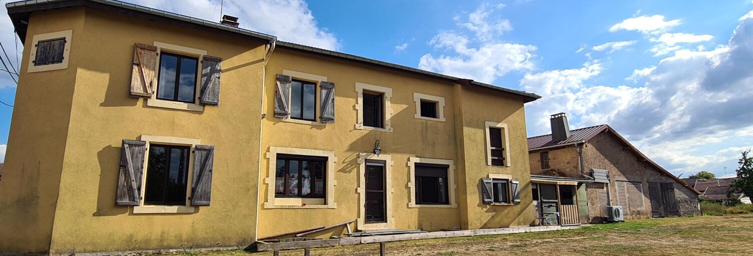 Maison 7 Pièces 195 m² à vendre à Clézentaine (88700)