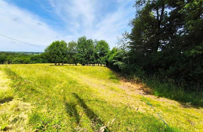 TERRAIN CONSTRUCTIBLE DE 2516 M2 — photo 4