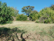 Terrain Serpaize 910 m2 — photo 3