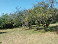 Terrain Serpaize 910 m2 — photo 4
