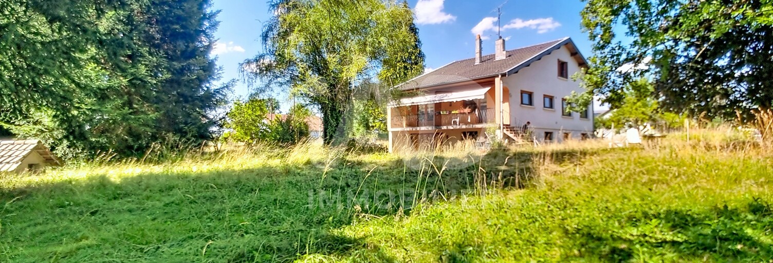 Maison 6 Pièces 132 m² à vendre à Cirey-sur-Vezouze (54480)