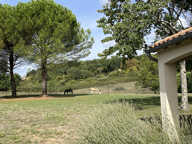 MAISON TYPE 8 - SAINT BENOIT — photo 2